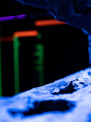 _DSC3667-min